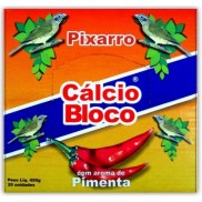 Cálcio Blocos1